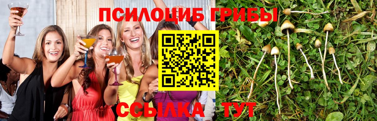 Галлюциногенные грибы прущие грибы Когалым